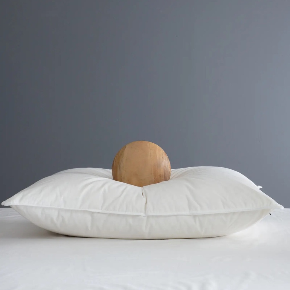 QUINCE Premium Down Alternative Pillow Standard 6180